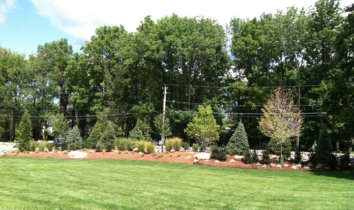 Superior Landscaping Planting Berm